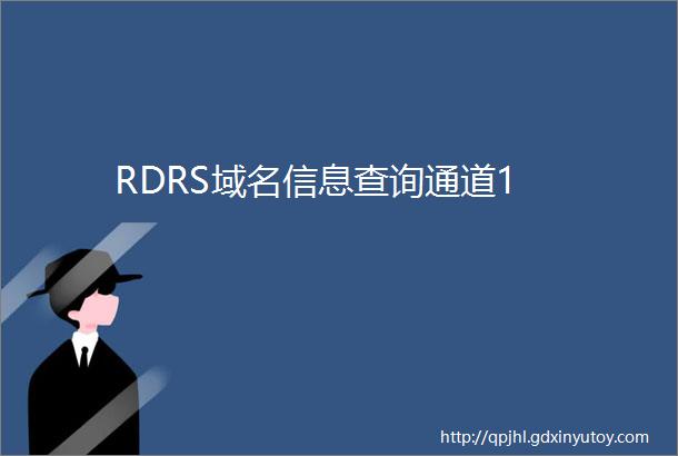 RDRS域名信息查询通道1